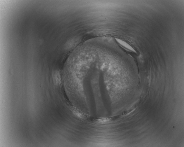 X0000063510335200602032050