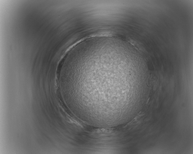 X0000063510338200602032049