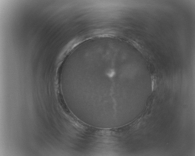 X0000063510339200602032049