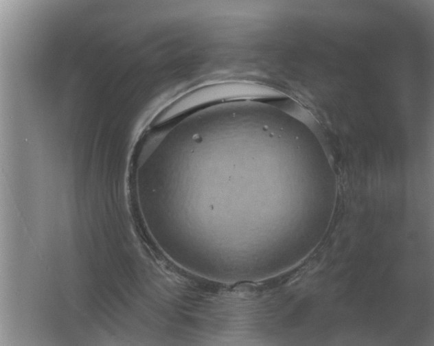 X0000063510340200602032049