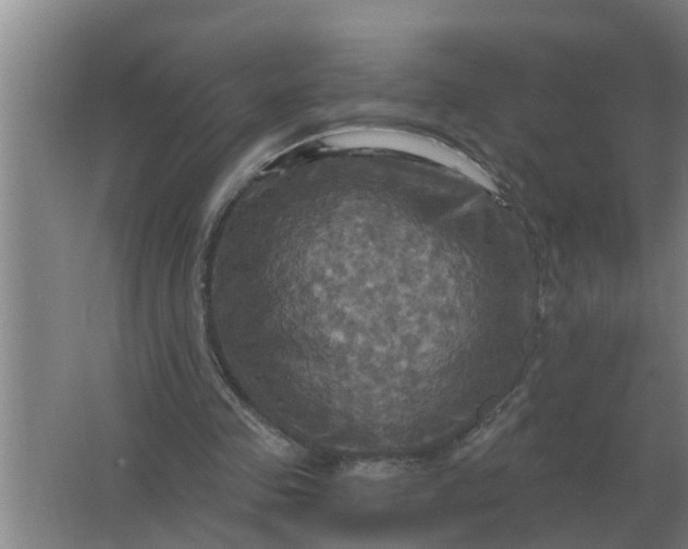 X0000063510341200602032049