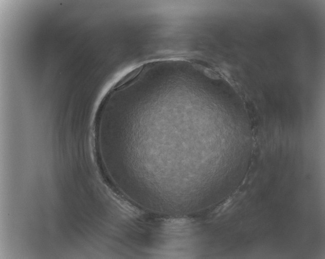 X0000063510342200602032049