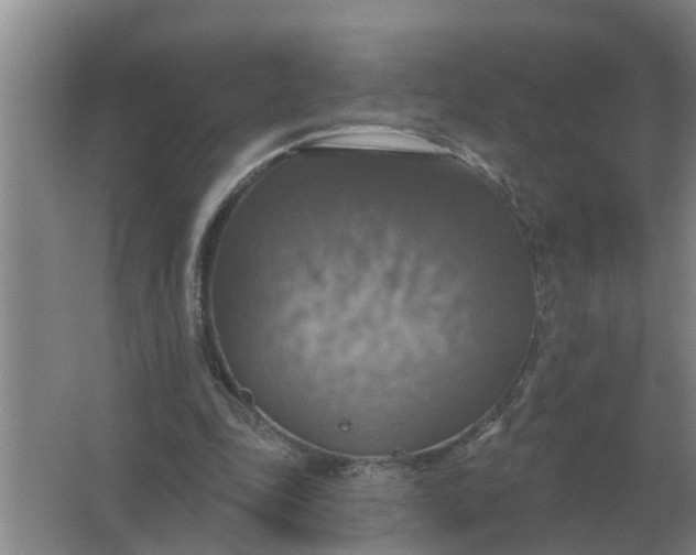 X0000063510343200602032049