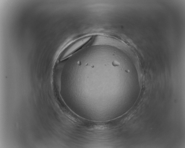 X0000063510344200602032049