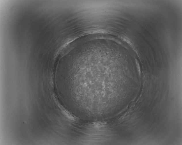 X0000063510345200602032049