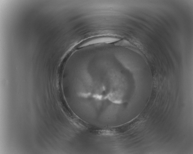 X0000063510347200602032049