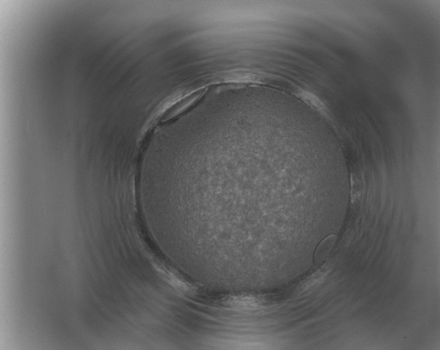 X0000063510349200602032049