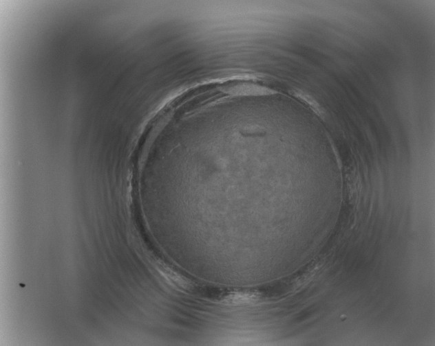 X0000063510350200602032049