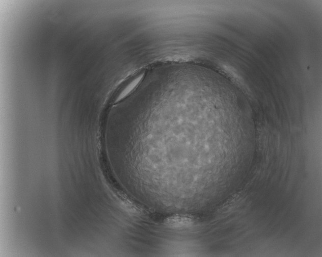 X0000063510354200602032049