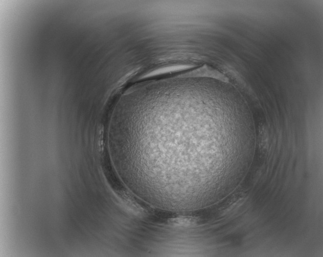 X0000063510356200602032049