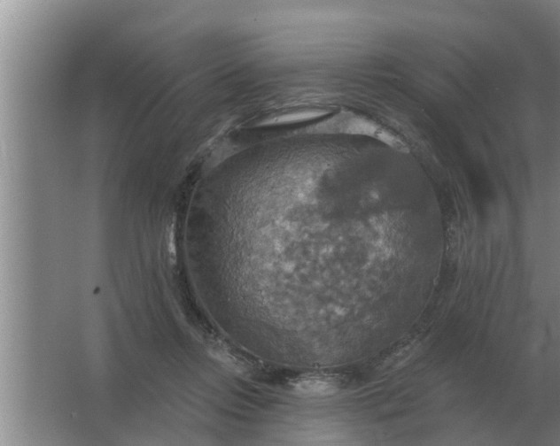 X0000063510358200602032049