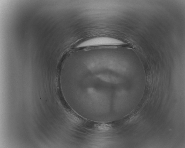 X0000063510359200602032049