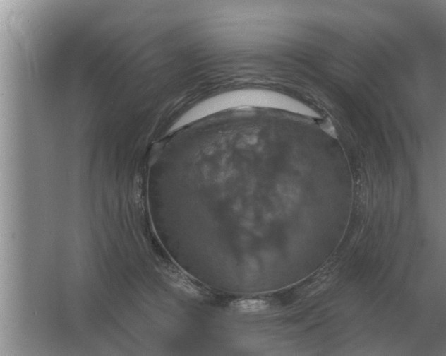 X0000063510361200602032049