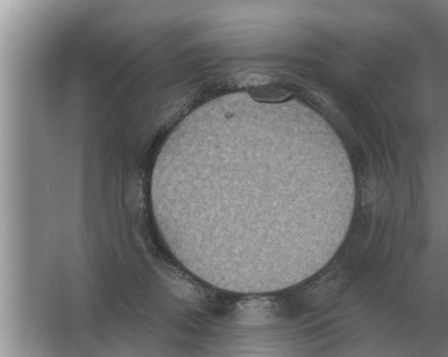 X0000063510362200602032049