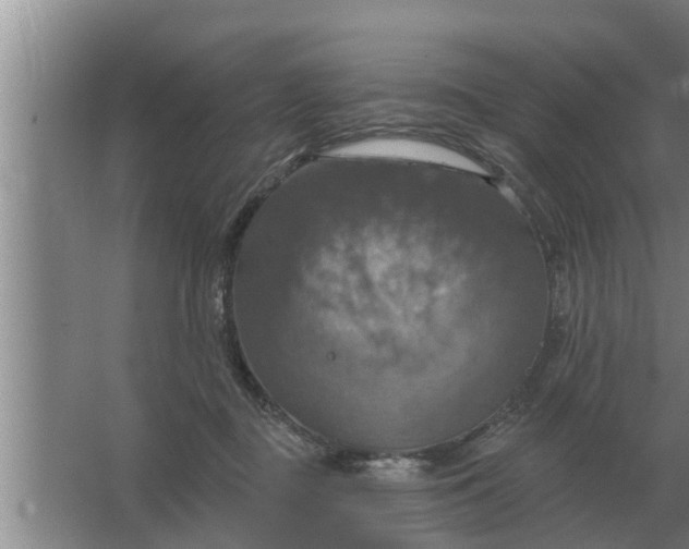 X0000063510363200602032049