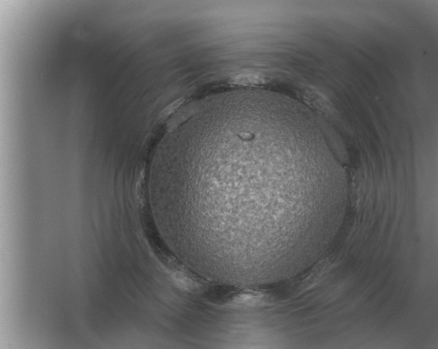 X0000063510364200602032049