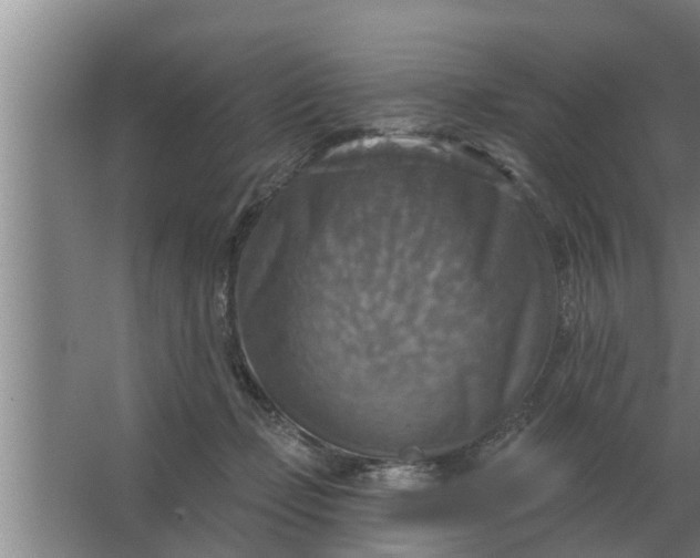 X0000063510365200602032049