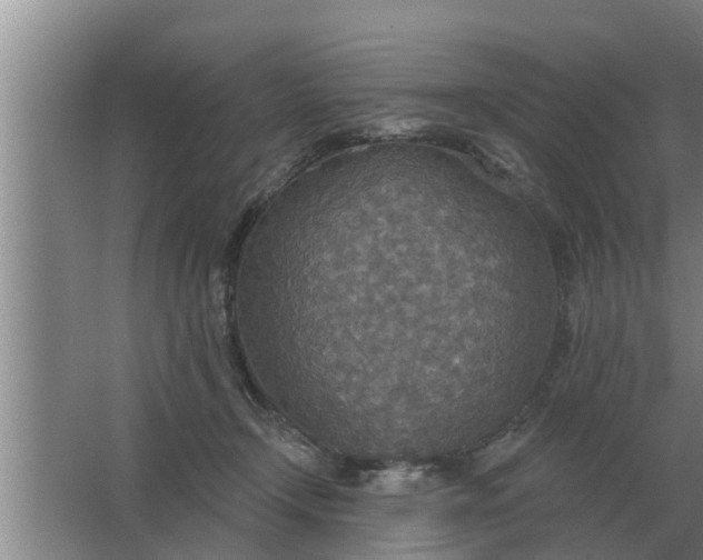 X0000063510366200602032049