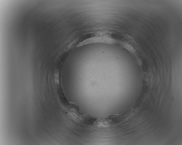 X0000063510368200602032049