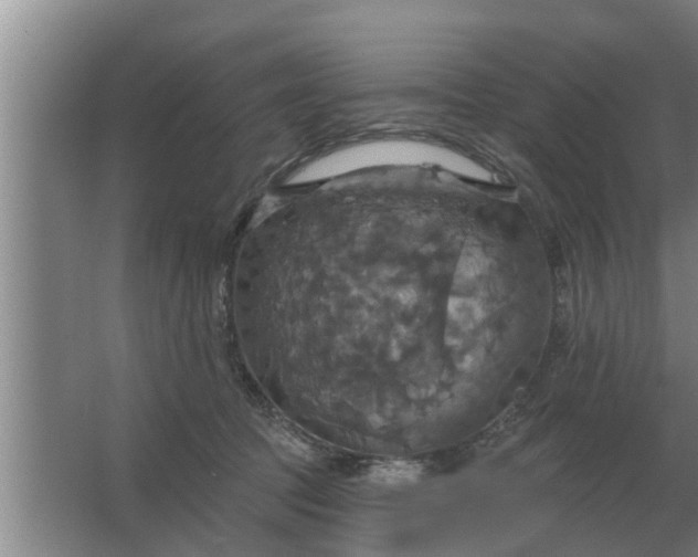 X0000063510369200602032049