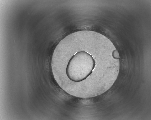 X0000063510370200602032049