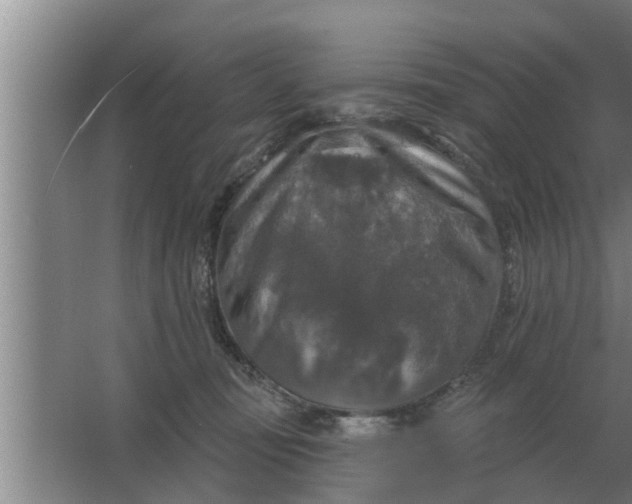 X0000063510371200602032049