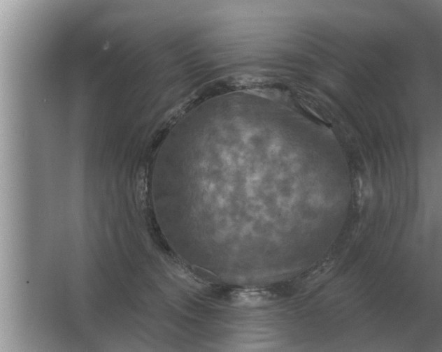 X0000063510372200602032049