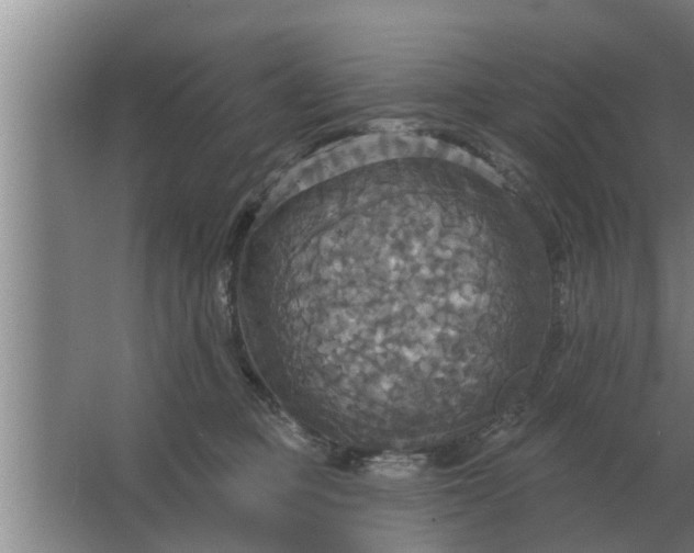 X0000063510373200602032049