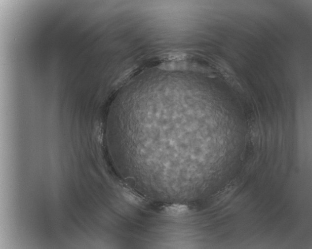 X0000063510374200602032049