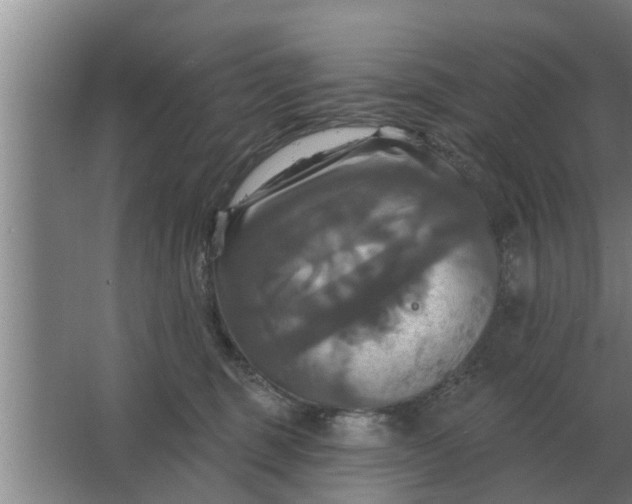 X0000063510375200602032049