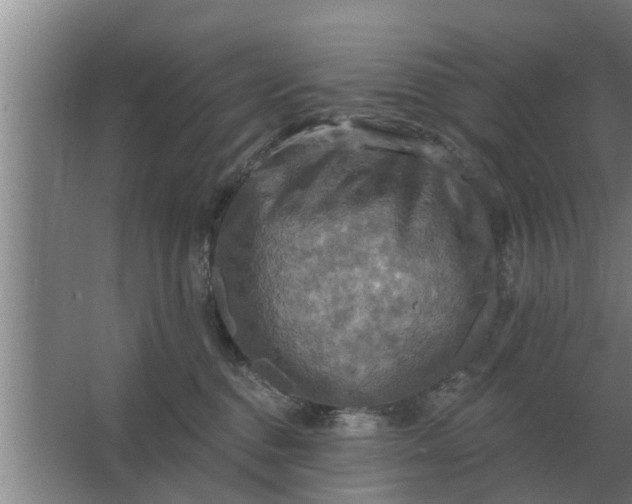 X0000063510376200602032049