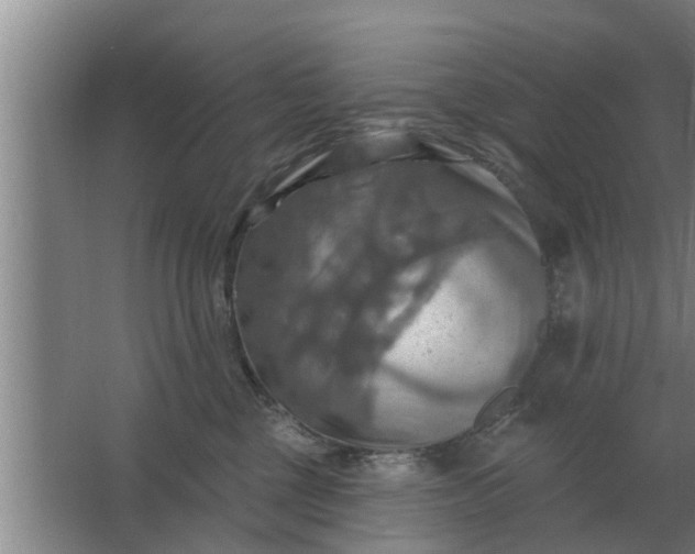 X0000063510377200602032050