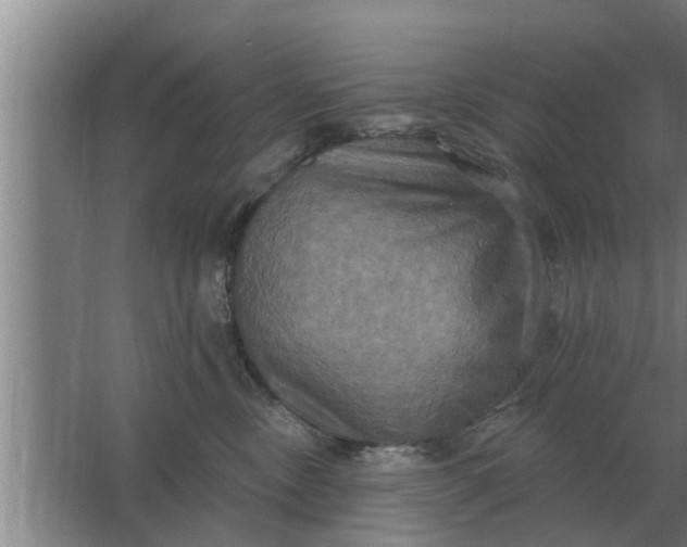 X0000063510378200602032050