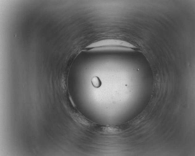 X0000063510380200602032050