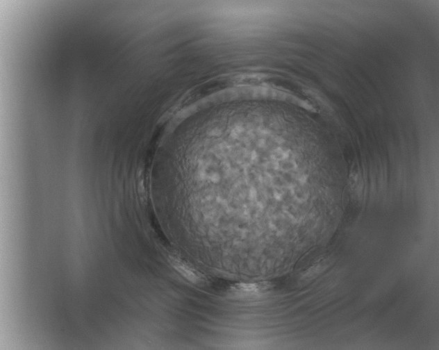 X0000063510381200602032050