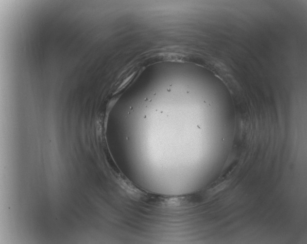 X0000063510382200602032050