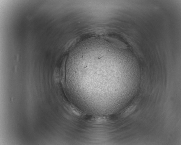 X0000063510384200602032050