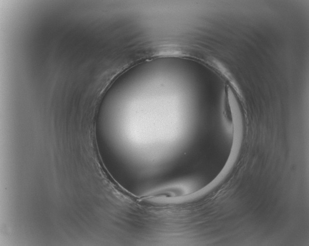 X0000063510385200602032049