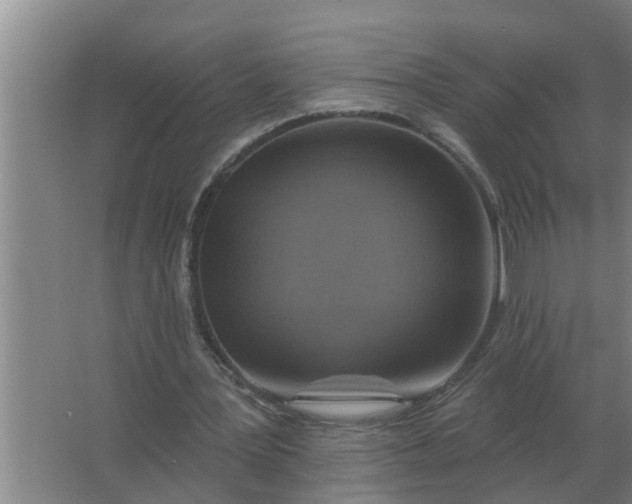 X0000063510387200602032049