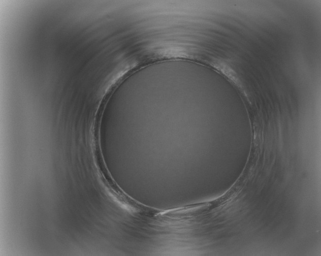 X0000063510390200602032049