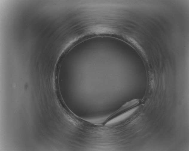 X0000063510391200602032049