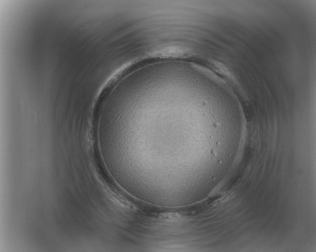 X0000063510392200602032049