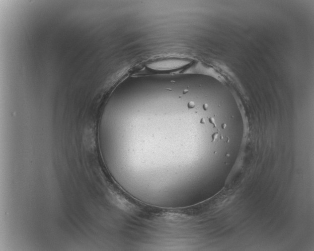 X0000063510393200602032049