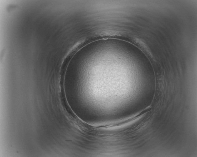 X0000063510395200602032049