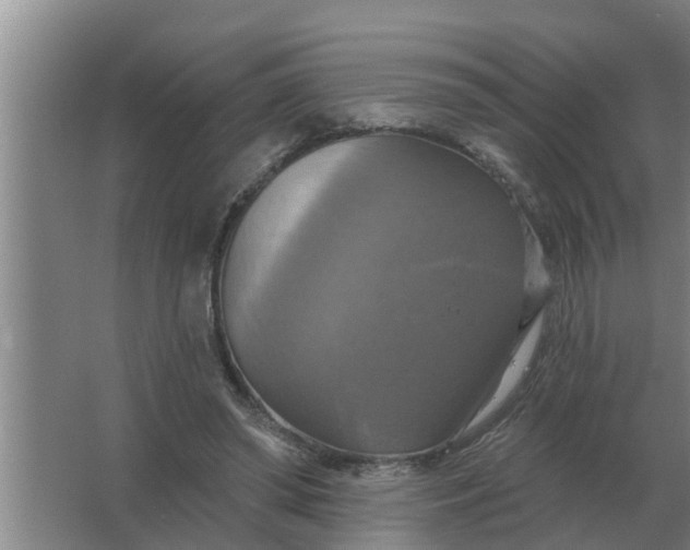 X0000063510398200602032049