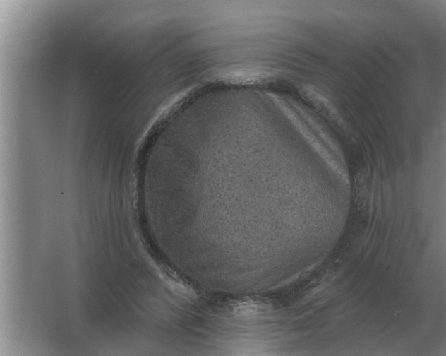 X0000063510400200602032049