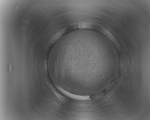 X0000063510401200602032049