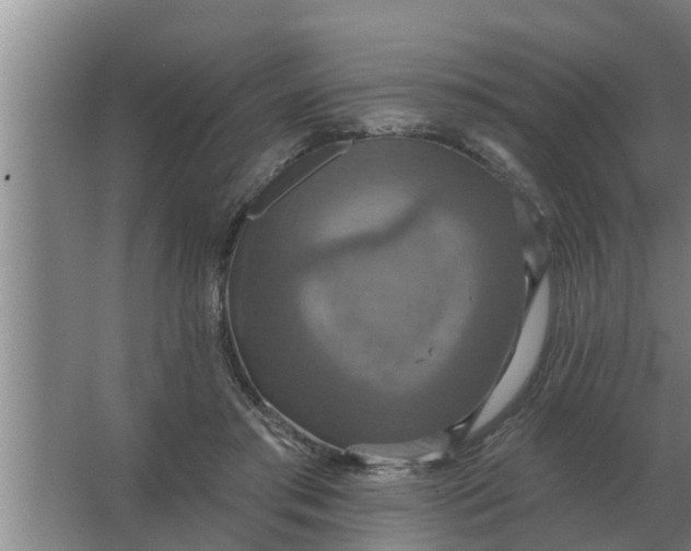 X0000063510405200602032048