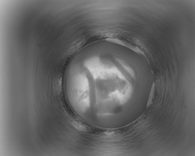 X0000063510406200602032048