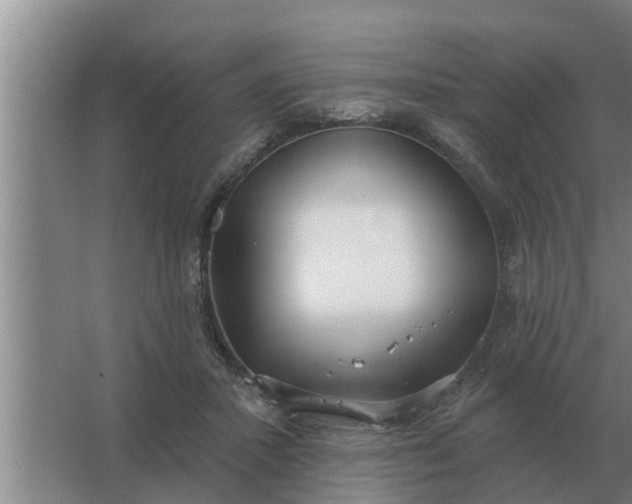 X0000063510407200602032048